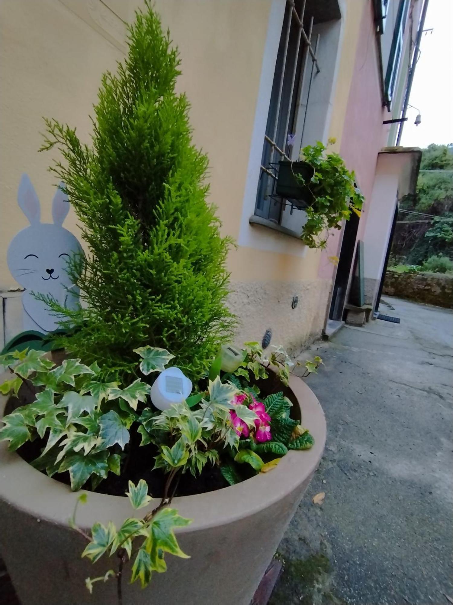 Apartment Nido Al Mare Bonassola